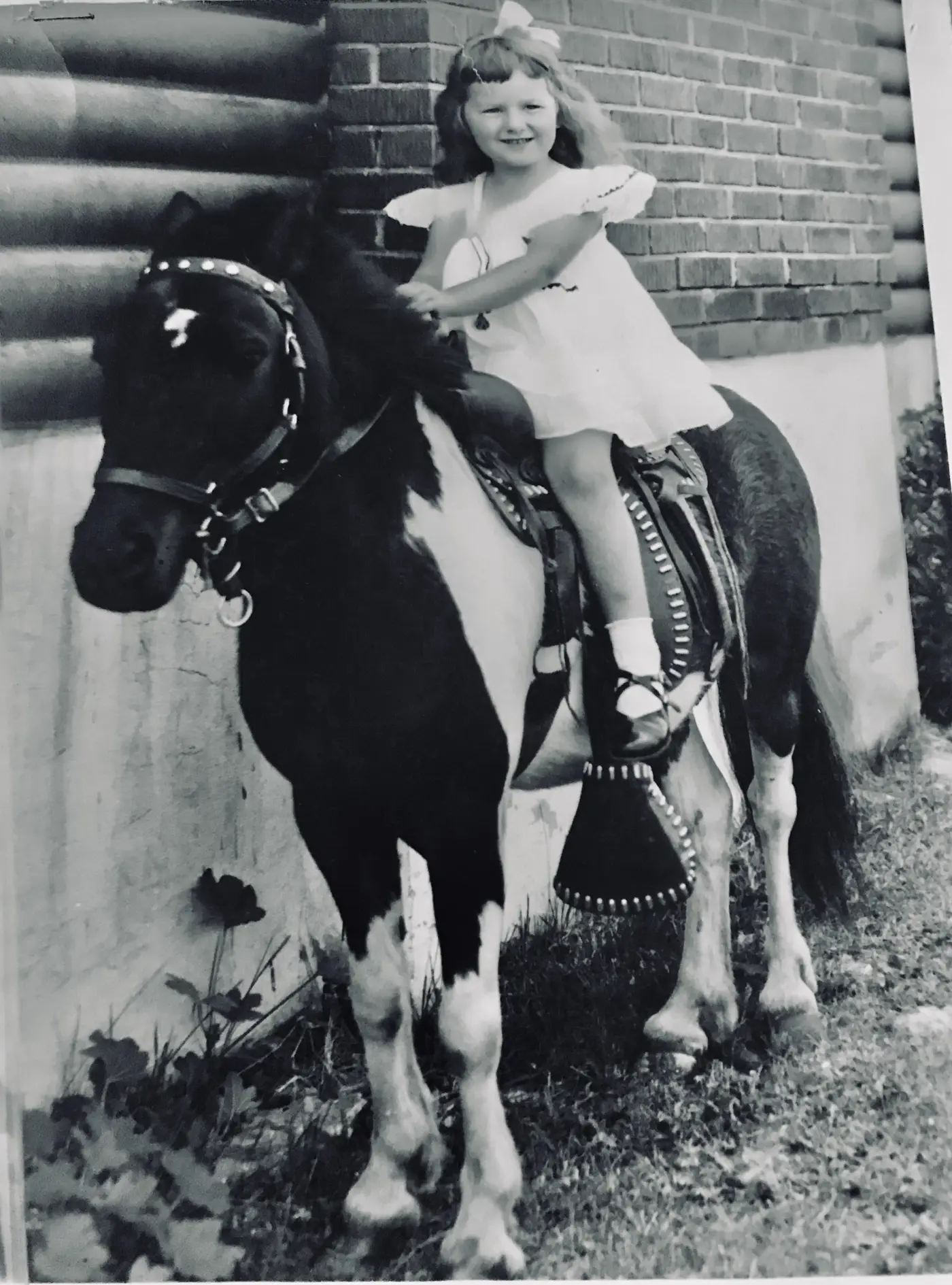 My little pony.